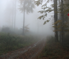 20161016_brezovo_polje_030