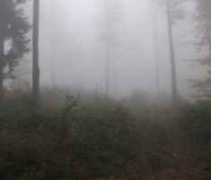 20161016_brezovo_polje_031