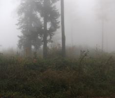 20161016_brezovo_polje_032