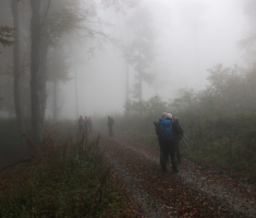 20161016_brezovo_polje_033