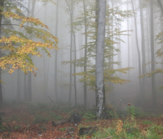 20161016_brezovo_polje_035