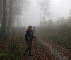 20161016_brezovo_polje_036