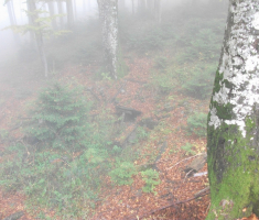 20161016_brezovo_polje_037