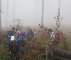 20161016_brezovo_polje_038