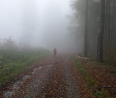 20161016_brezovo_polje_040