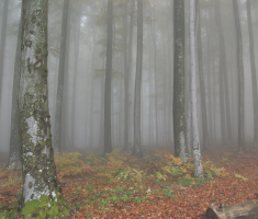 20161016_brezovo_polje_044