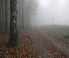 20161016_brezovo_polje_046