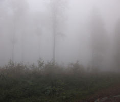 20161016_brezovo_polje_047