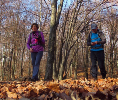 20161216_zapadni_papuk_007