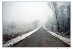 17.01.2009. - Ivačka glava