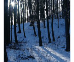 201