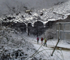 20160117_krndija_005