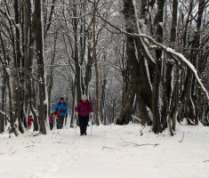 20160117_krndija_007
