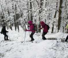 20160117_krndija_012