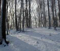 20160117_krndija_019