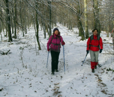 20160117_krndija_021