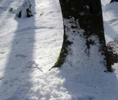 20160117_krndija_022