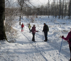 20160117_krndija_024