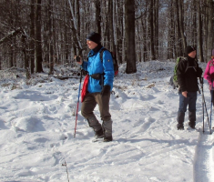 20160117_krndija_027