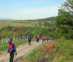 20170417_krndija_011