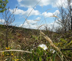 20170417_krndija_050