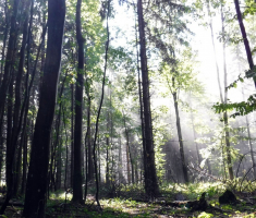 20170917_papuk_032