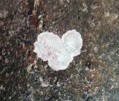 20170917_papuk_047