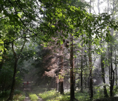20170917_papuk_083
