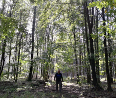 20170917_papuk_084