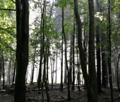 20170917_papuk_085
