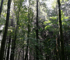 20170917_papuk_086