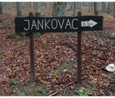 planinarimo_papuk_004