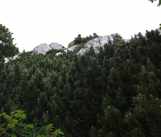 20170618-17_platak_028