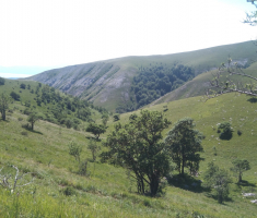 20170618-17_platak_035
