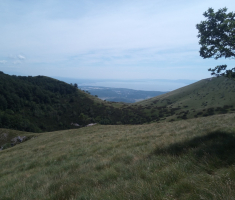 20170618-17_platak_036
