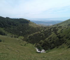 20170618-17_platak_037