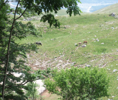 20170618-17_platak_041
