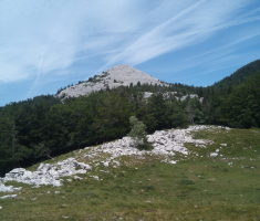 20170618-17_platak_044