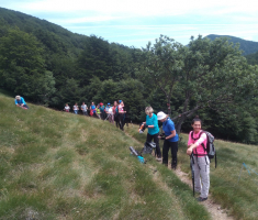 20170618-17_platak_049