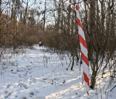 20260118_2_kolo_dls_008