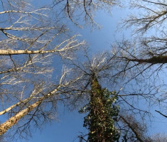 20260118_2_kolo_dls_029