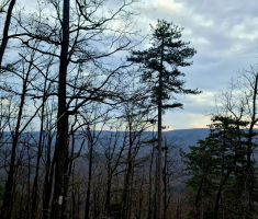 20230218_krndija_trail_013