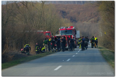 18.03.2012. - Papuk