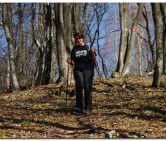 papuk_lapjak_00015