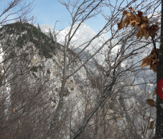 20170318-19_drazen_smit_033