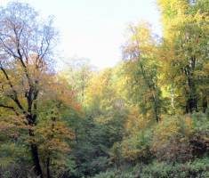 20151018_papuk_004