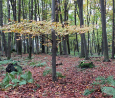 20151018_papuk_013