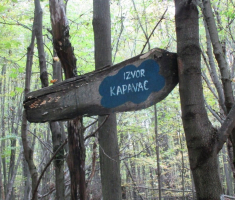 20151018_papuk_026