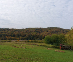 20251018_popisanac_trail_002