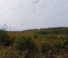 20251018_popisanac_trail_003